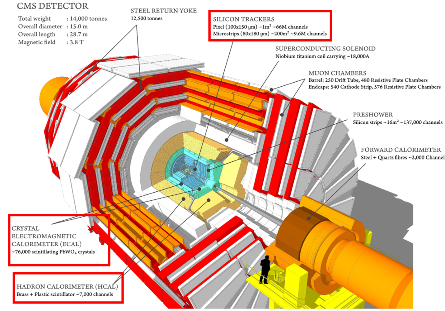 CMS Image